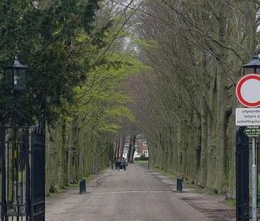 Thérèse Schwartzestraat 20, Uilennest, 2597XJ, Den Haag - Photo 3