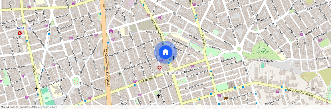 Θεοδώρου Νάτσινα, 51, Δημοτική Ενότητα Θεσαλονίκης, 54249, Ε (54249), Κέντρο (Χαριλάου)