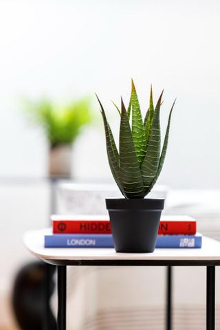 1 bedroom serviced apartment to rent - Photo 2