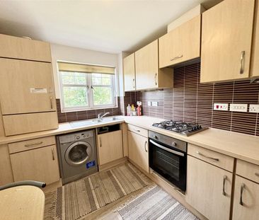Sun Gardens, Thornaby, Stockton-On-Tees - Photo 6