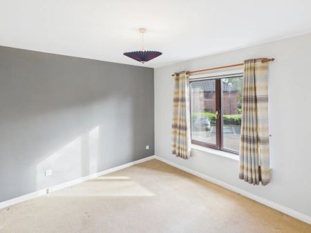 13 Ravenhill Reach Mews - Photo 3