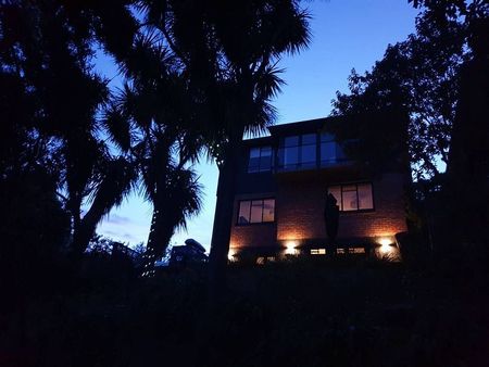 Warm and Sunny Roslyn Apartment - Ready for You. - Photo 3