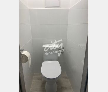 Szczecin - Zdjęcie 3