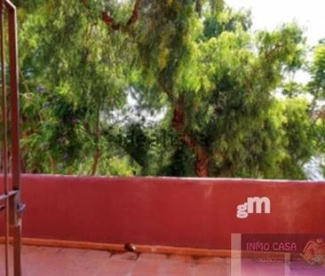 Alquiler de casa o chalet independiente en Urbanización el Rosario s/n - Photo 6