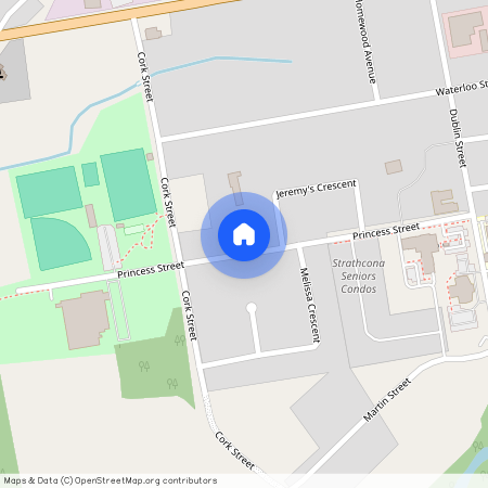 773 Princess Street, Wellington North