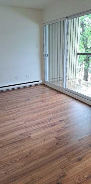 4 1/2 Chauffé/Éclairé, Décembre, Lévis secteur Desjardins, UQAR, CFP - Photo 1