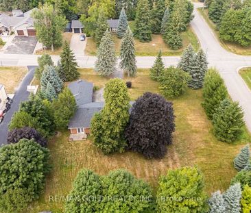 For Lease - 3 Cedar Grove Road, Mono, Ontario - Photo 5