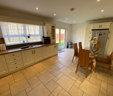 6 MONTH RENTAL, 1 Strangford Park, Downpatrick, BT30 6WQ - Photo 5