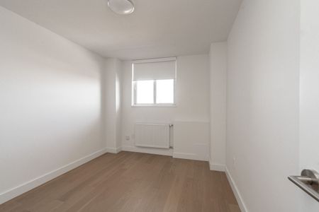 230 Oak Street - Photo 5