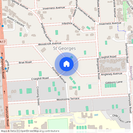 49 Anglesey Avenue, SA 5064, St Georges