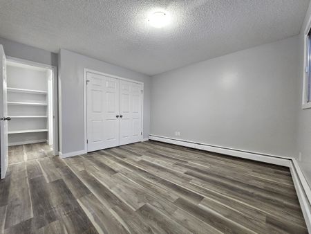 AMAZING FULLY RENO'D Apartment in Lacombe! CATS OK! - Photo 3