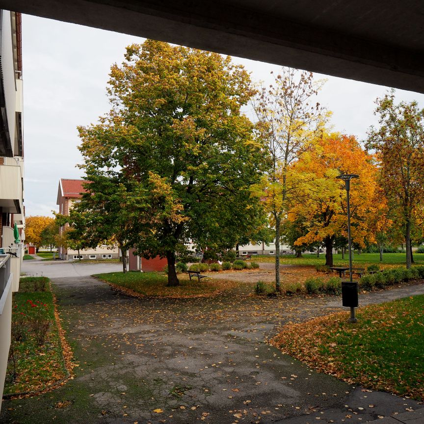 Vallavägen 12 - Photo 1