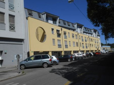 CITY PARK sonnige, sanierte 2ZI mit Allgemeingarten - Photo 5