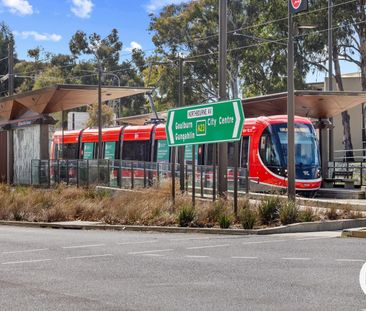 44/217 Northbourne Avenue, Turner ACT 2612 - Apartment For Rent - $... - Photo 2