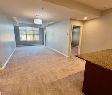 MiraVista – UTILITIES INCLUDED!! - Photo 4