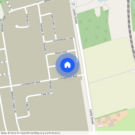 97 Schmeltzer Crescent, Richmond Hill