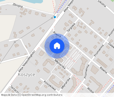 Atrakcyjne mieszkanie 3pok. ul. Targowa - Zdjęcie 1