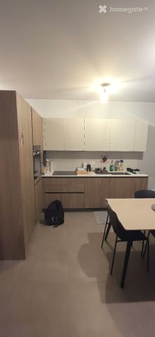 Subentrante - 2,5 Locali (Ascona) - Photo 5