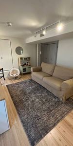 FURNISHED Kitsilano Basement Suite - Photo 4