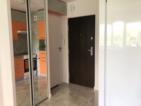 KAWALERKA W BARDZO DOBREJ LOKALIZACJI - Zdjęcie 1