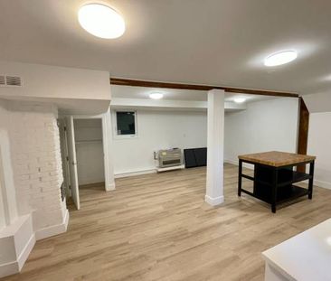 Newly Renovated Spacious Studio in Fairview - Photo 4