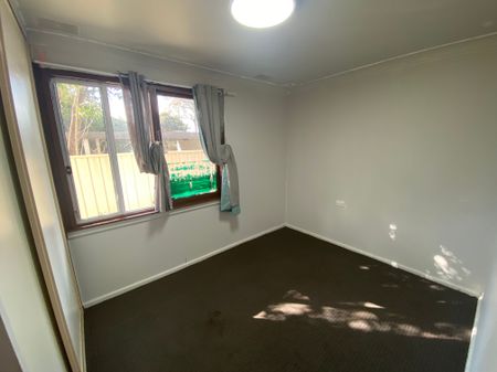 3 Bedroom Home In Central Nowra - Photo 3