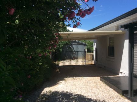 8 Frederick Street, Magill SA 5072 - House For Rent | Domain - Photo 5