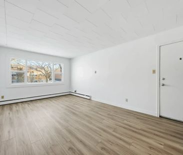 1 Bedroom - Photo 3