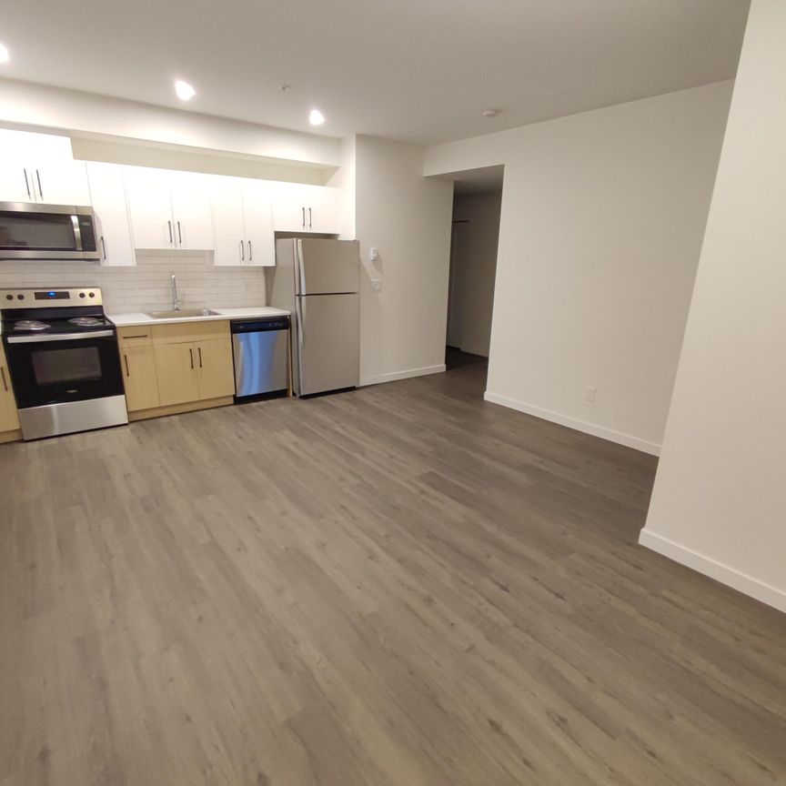 Unit 408 - 2 Bedrooom, 2 Bathroom at Central48 - Photo 1
