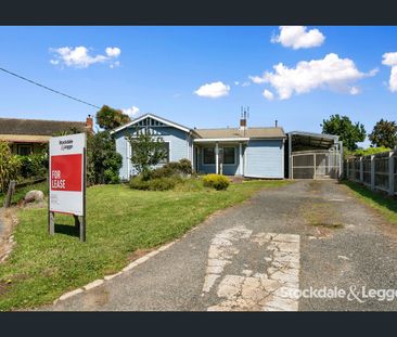 Renovated West End Home With Brilliant Shedding! - Photo 2