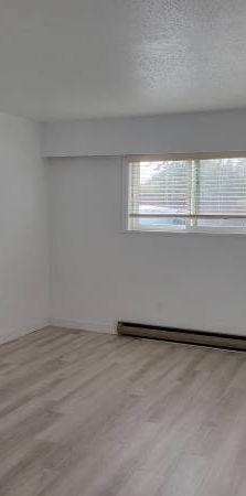 1 bed 1 bath - Photo 1