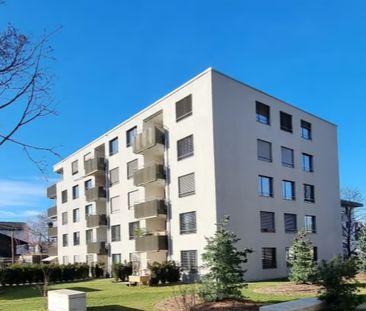 2.5 Zimmer, EG - Photo 6