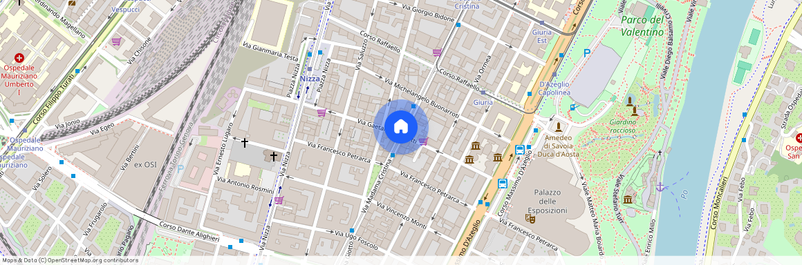 Via Gaetano Donizetti, Turin, Piedmont 10126