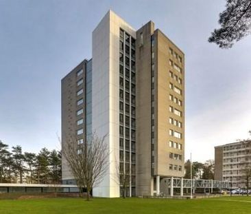 Magentahof, 5044 SJ Tilburg, Nederland - Foto 2