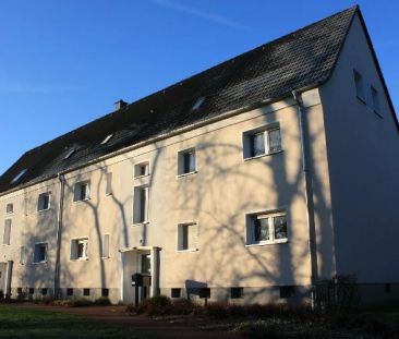 Freiherr-vom-Stein-Straße 31, 45473 Mülheim - Foto 2