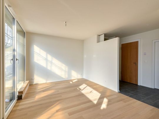 Beautiful 3-room apartment with large terrace - Photo 1