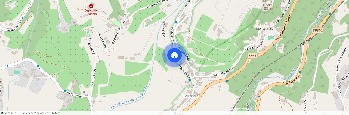 Via Bolognese, Firenze, Tuscany 50139