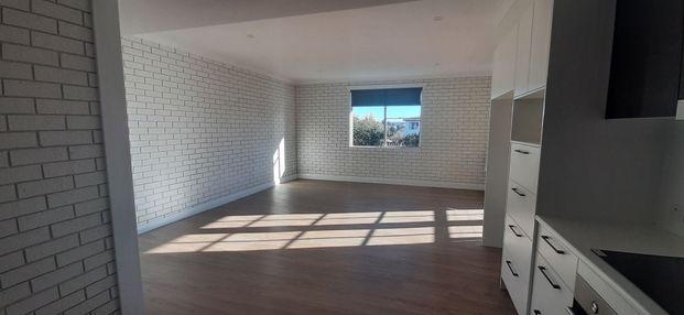 Spacious 2-Bedroom Apartment with Balcony Views - Close to Bradfordville Shops - Photo 1