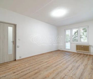 Pronájem bytu 3+1, s lodžií, 71 m - Fotografie 6
