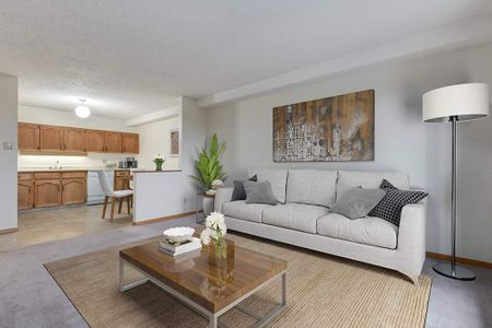 Renovated Suite - 1 Bedroom - Photo 3