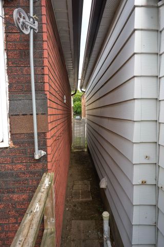 For Lease - 356 Cedarvale Avenue, Toronto, Ontario - Photo 2