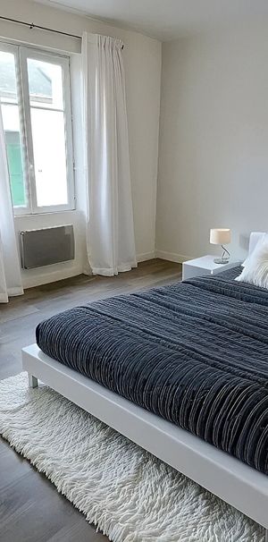 A LOUER - NANTES GARE NORD / JARDIN DES PLANTES - Appartement 2 pièces de 38.22 m² - Photo 1