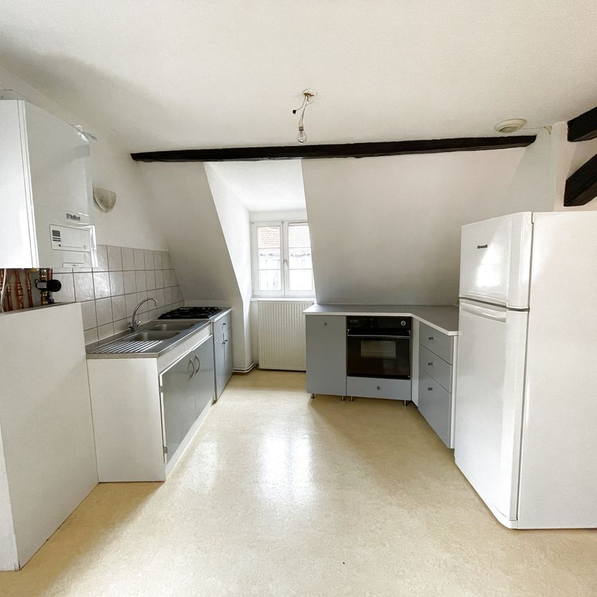 Location Appartement 2 pièces 50m² SELESTAT 67600 - Photo 1