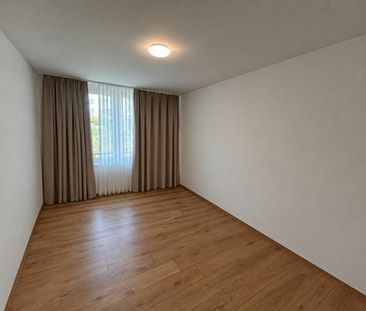 4.5- Zimmer-Attikawohnung im Eigentumsstandard gesucht? - Photo 3