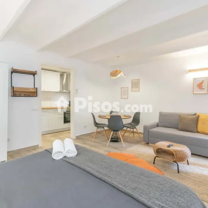 Estudio en alquiler en Carrer de les Carretes, 75, cerca de Carrer de l' Arc de Sant Pau - Foto 1