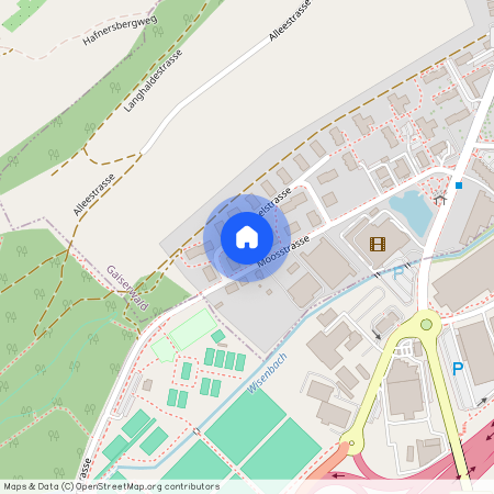 Moosstrasse, 20, 9030, Abtwil Sg