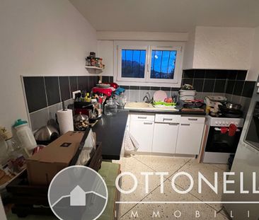 Appartement meublé Roquebrune Sur Argens 3 pièces 54,70 m2 - Photo 5