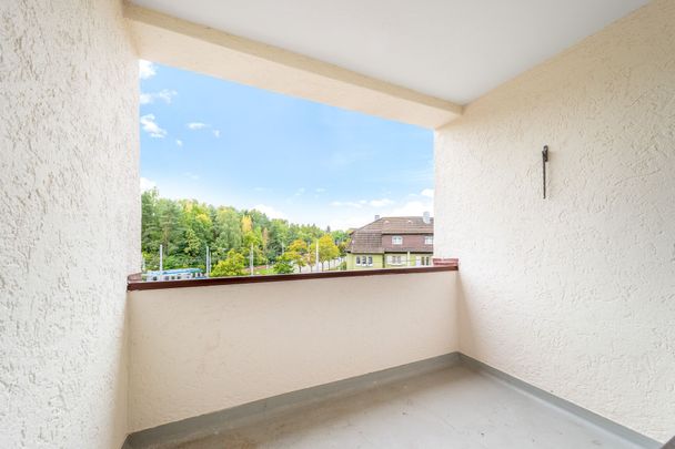 Wohlfühloase am Irchelpark - Freshly renovated - Your new home? - Photo 1