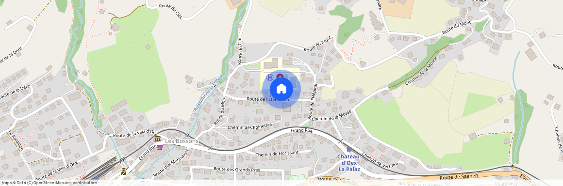 Route de l'Etambeau 15, 1660 Château-d'Oex