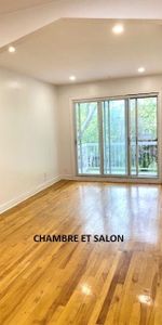 Logement 1 chambre près de Honoré Beaugrand - Photo 3